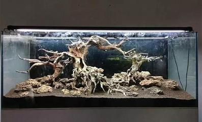樹干魚缸造景：樹干魚缸造景的網站推薦
