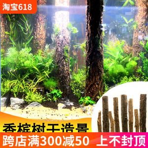 樹干魚缸造景：樹干魚缸造景的網站推薦