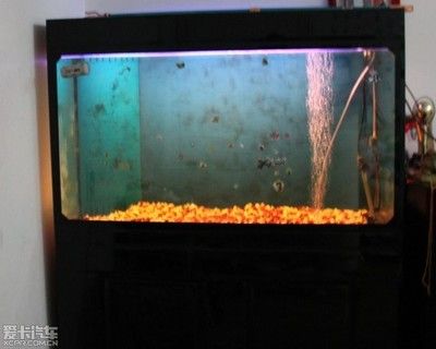 黑金剛魚缸過濾系統的選擇指南：黑金剛魚缸過濾系統對于養魚來說是一種常見的魚缸過濾方式
