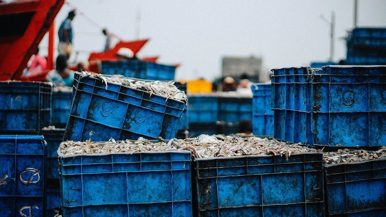 綠園區(qū)大自然花鳥魚商城閩江魚缸器材店 綠園區(qū)大自然花鳥魚商城閩江魚缸器材店 全國水族館企業(yè)名錄 第1張