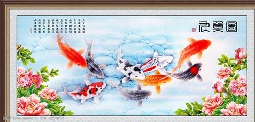 九龍魚是什么魚種：九龍魚是什么魚？