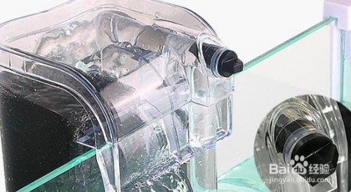 保定市新市區亮點水族魚缸經營部（保定市新市區亮點水族魚缸經營部電話）