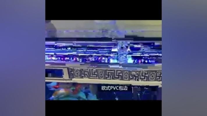 歐式圓形魚缸：歐式圓形魚缸搭配哪些植物好看歐式圓形魚缸品牌推薦