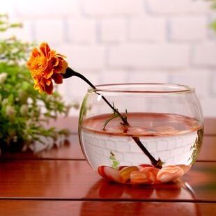 歐式圓形魚缸：歐式圓形魚缸搭配哪些植物好看歐式圓形魚缸品牌推薦