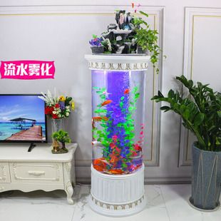 歐式圓形魚缸：歐式圓形魚缸搭配哪些植物好看歐式圓形魚缸品牌推薦