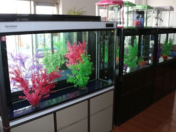 森森魚缸售后服務(wù)的電話是多少（森森魚缸售后服務(wù)電話）
