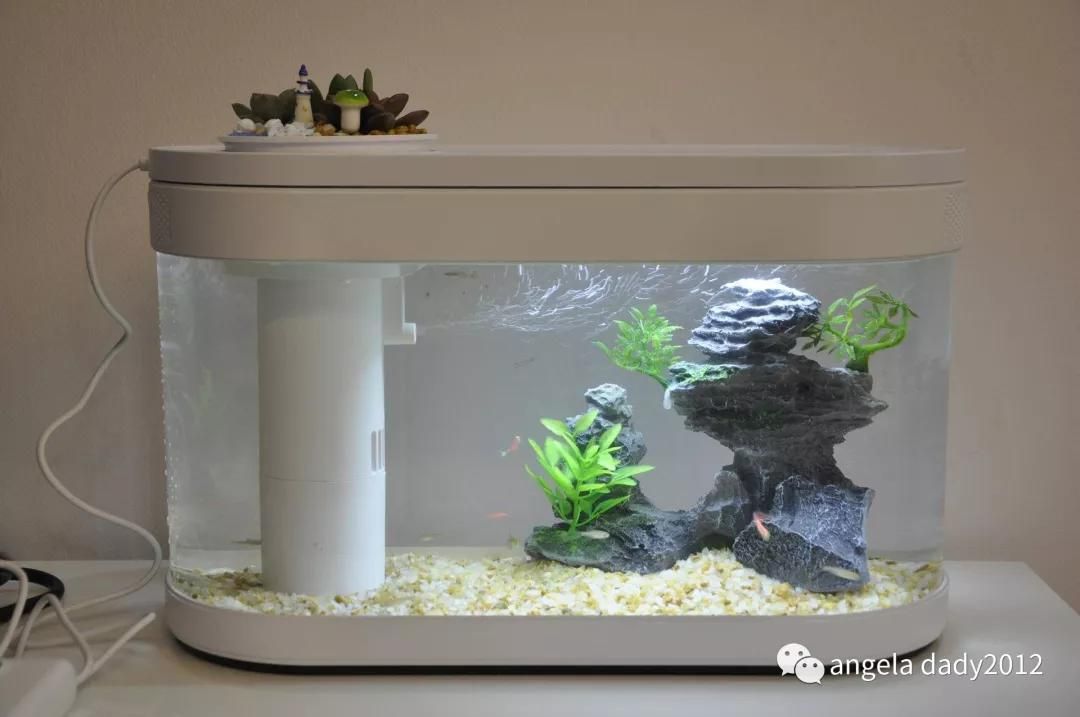 魚缸濾水器哪個品牌比較好：瘋狂水草濾水器品牌eheim伊罕濾水器技術特點