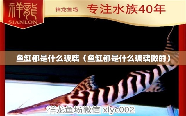 <strong><mark>即墨</mark></strong>區(qū)魚鄰水族店：<strong><mark>即墨</mark></strong>區(qū)魚鄰水族店地址