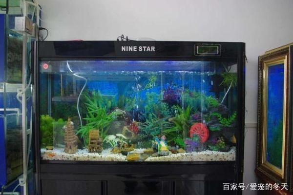 魚缸擺放影響家居風(fēng)水嗎：魚缸數(shù)量風(fēng)水講究是什么魚缸數(shù)量風(fēng)水講究是什么
