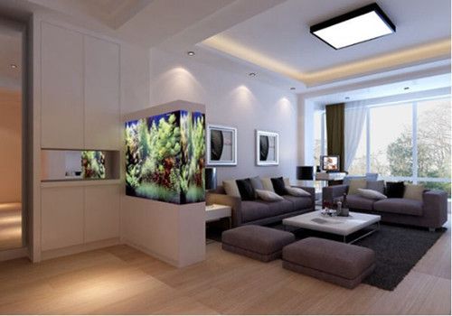 魚缸擺放影響家居風(fēng)水嗎：魚缸數(shù)量風(fēng)水講究是什么魚缸數(shù)量風(fēng)水講究是什么