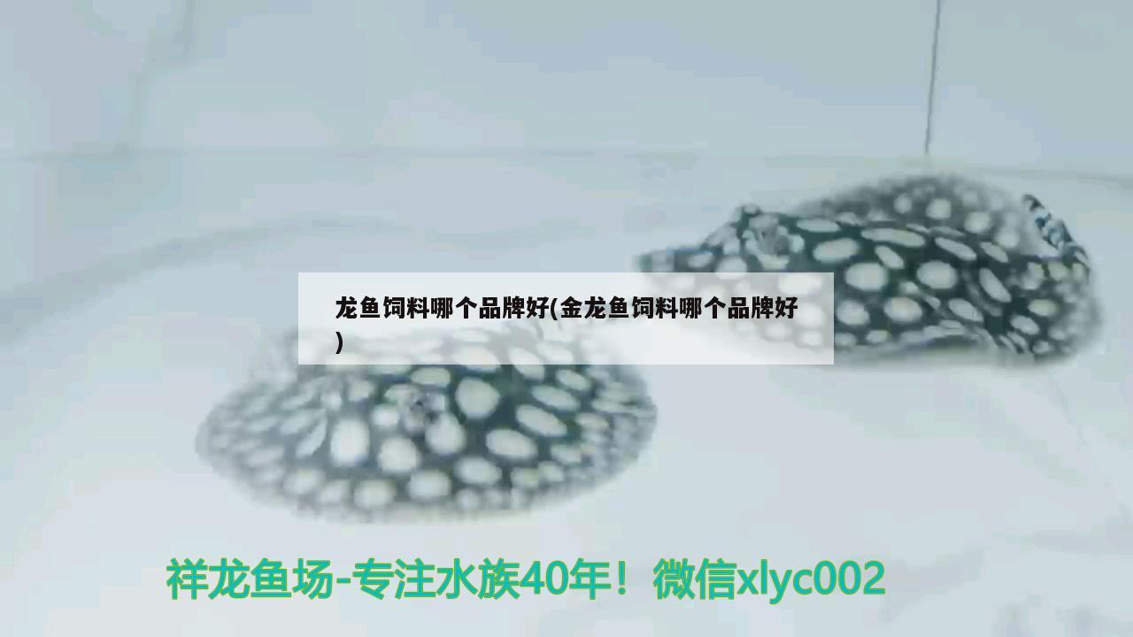 龍魚飼料哪個品牌好(金龍魚飼料哪個品牌好)