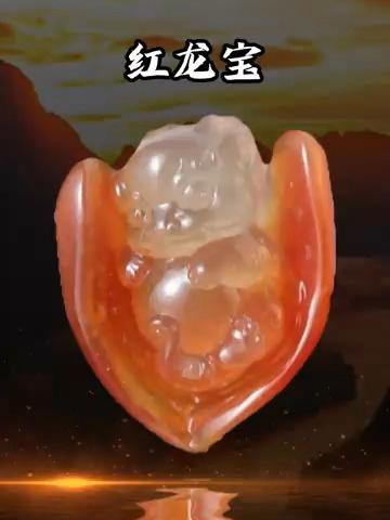 紅龍掛件的價格范圍是多少？