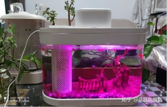 畫法幾何魚缸尺寸圖畫法幾何魚缸尺寸圖：畫法幾何智能生態(tài)懶人魚缸