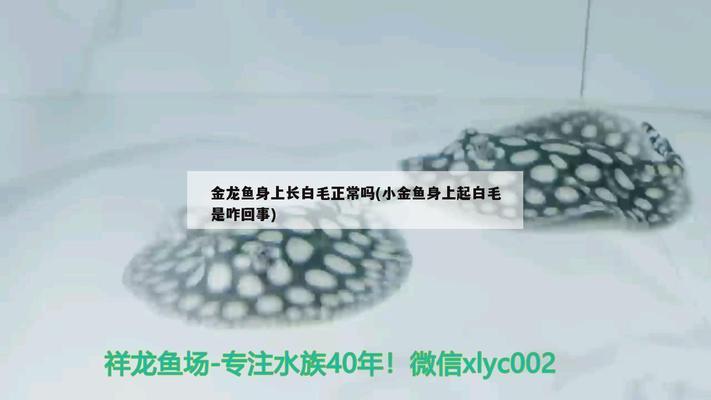 魚缸著名品牌排行榜（森森sunsun魚缸特色介紹閩江水族minjiang用戶評價(jià)） 魚缸著名品牌排行榜（森森sunsun魚缸特色介紹閩江水族minjiang用戶評價(jià)） 魚缸百科