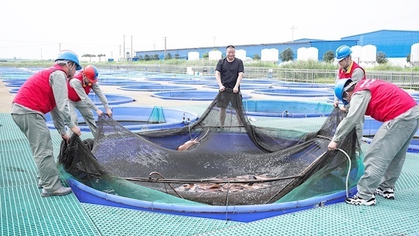 什么品牌魚缸過濾系統最好（魚缸過濾器哪個牌子好） 什么品牌魚缸過濾系統最好（魚缸過濾器哪個牌子好） 魚缸百科