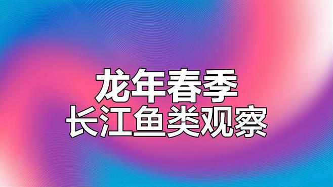 如何聯系專業魚類顯微攝影機構？