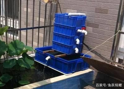 過濾材料能直接放魚缸里嗎（魚缸過濾材料如何選擇）
