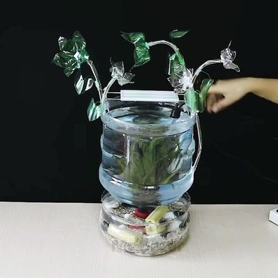 生態魚缸制作環保材料制作環保魚缸設計和養護魚缸文化：制作環保魚缸的方法
