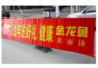 家里魚缸養什么魚最好視頻（適合家庭養殖的觀賞魚）