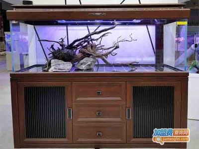定制魚缸品牌排行榜可麗愛魚缸加盟品牌排行榜：定制魚缸加盟品牌哪個牌子好