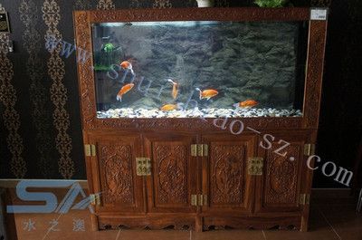 定制魚缸品牌排行榜可麗愛魚缸加盟品牌排行榜：定制魚缸加盟品牌哪個牌子好