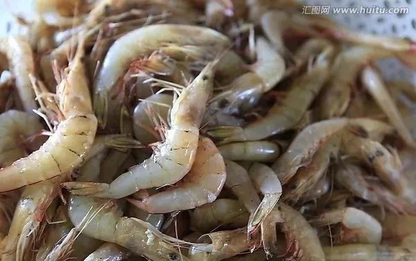 紅龍魚喂食什么最好呢圖片