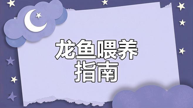 紅龍魚喂食什么最好呢圖片