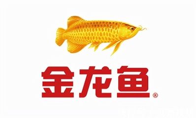 金龍魚業務范圍（金龍魚業務范圍廣泛且深入）