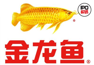 金龍魚業務范圍（金龍魚業務范圍廣泛且深入）
