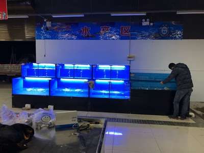 自制魚缸的創(chuàng)意設(shè)計想要打造一個既美觀又實用的海鮮魚缸嗎：海鮮魚缸怎么做好看看視頻