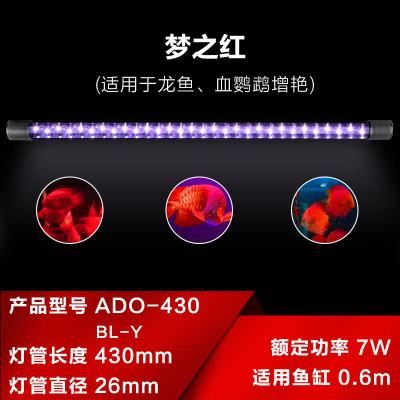 龍魚用多少k的燈爬背：龍魚使用不同色溫（k值）燈光爬背