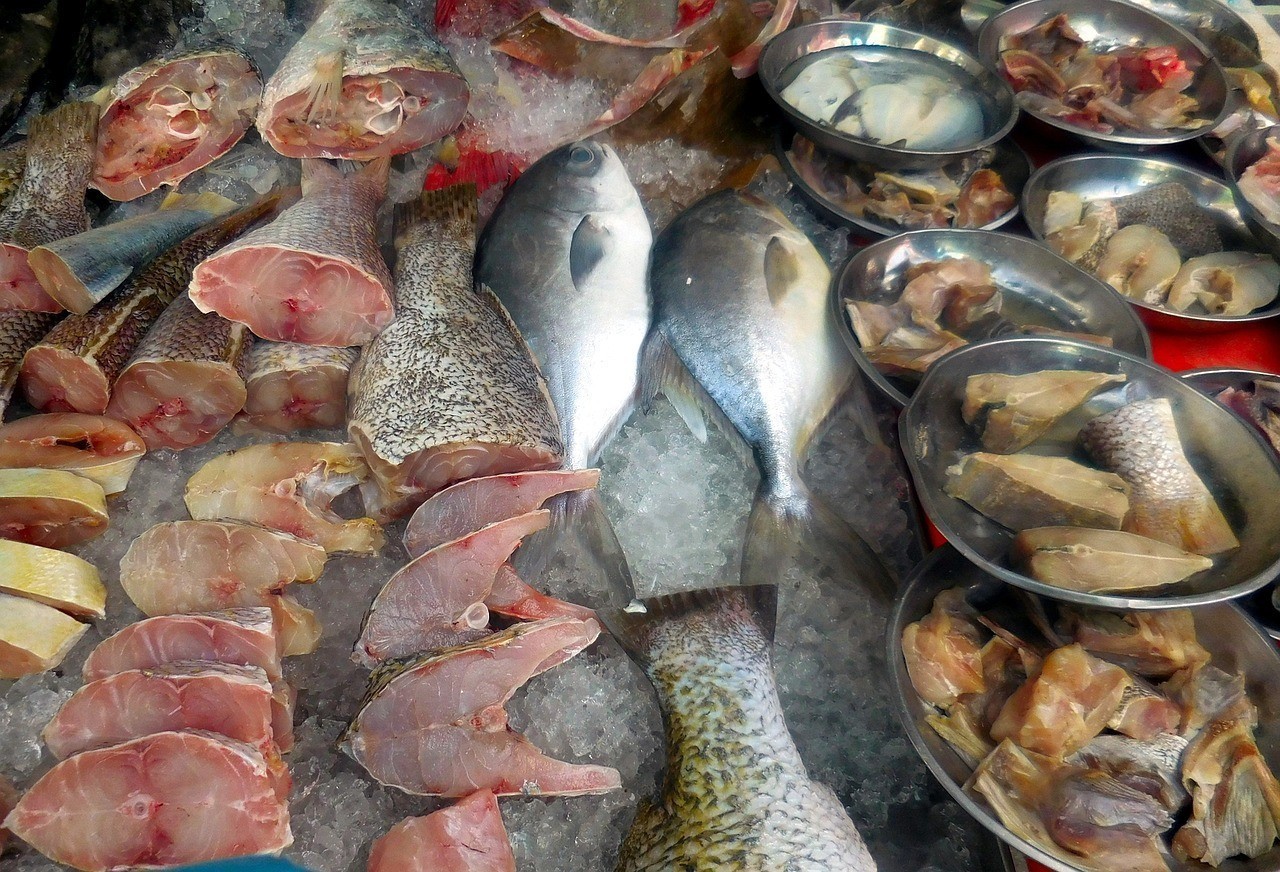 武漢市漢陽區新新水族店