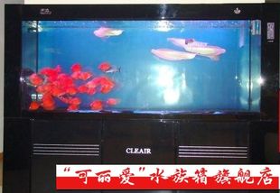 可麗愛魚缸旗艦店怎么樣（可麗愛魚缸旗艦店怎么樣可麗愛魚缸旗艦店怎么樣）