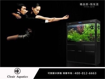 可麗愛魚缸旗艦店怎么樣（可麗愛魚缸旗艦店怎么樣可麗愛魚缸旗艦店怎么樣）