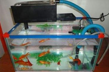 魚缸過濾棉多久換一次：魚缸過濾棉更換周期，魚缸過濾棉清洗技巧