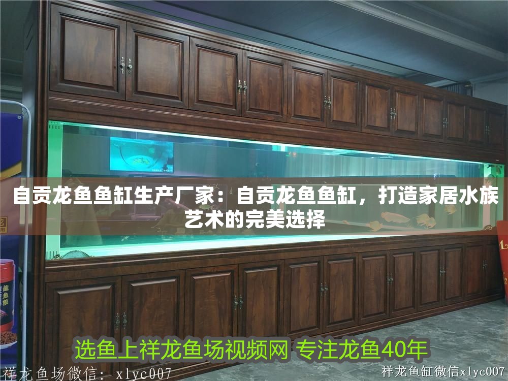 自貢龍魚魚缸生產廠家：自貢龍魚魚缸，打造家居水族藝術的完美選擇