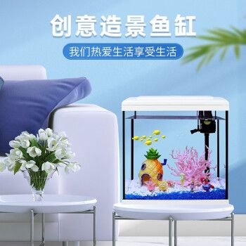 寵小帥魚缸怎么樣：寵小帥魚缸性價比對比分析寵小帥魚缸性價比對比分析
