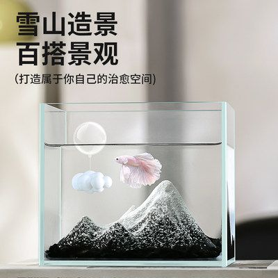寵小帥魚缸怎么樣：寵小帥魚缸性價比對比分析寵小帥魚缸性價比對比分析