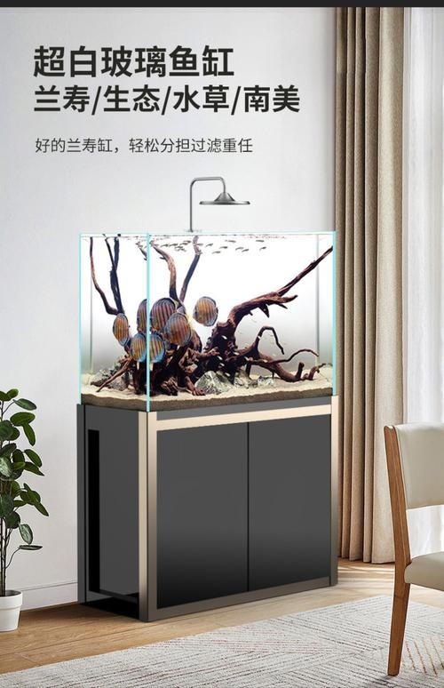 龍魚缸的材質有哪些選擇 龍魚缸的材質有哪些選擇 龍魚百科 第5張