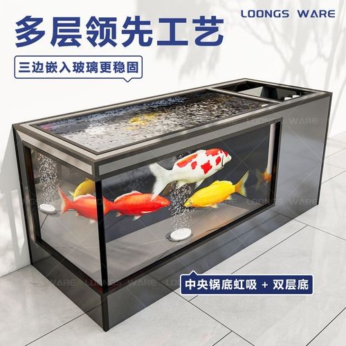 龍魚缸的材質有哪些選擇 龍魚缸的材質有哪些選擇 龍魚百科 第4張