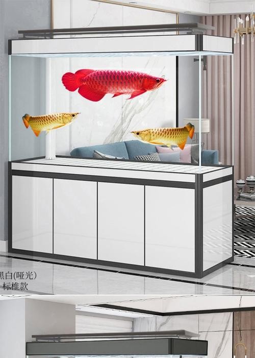 龍魚缸的材質有哪些選擇 龍魚缸的材質有哪些選擇 龍魚百科 第6張