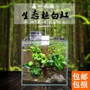 晶一魚缸：晶一魚缸優惠活動，晶一魚缸用戶養護心得