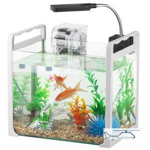 晶一魚缸：晶一魚缸優惠活動，晶一魚缸用戶養護心得