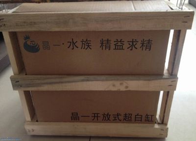 晶一魚缸：晶一魚缸優惠活動，晶一魚缸用戶養護心得