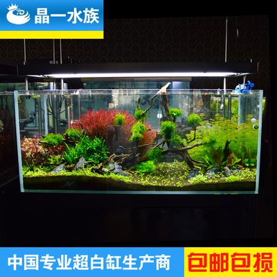 晶一魚缸：晶一魚缸優惠活動，晶一魚缸用戶養護心得