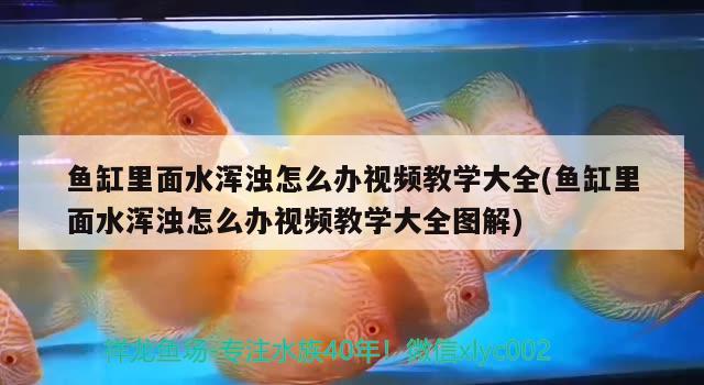 白銀市白銀區張秀英（白銀市白銀區張秀英簡歷） 白銀市白銀區張秀英（白銀市白銀區張秀英簡歷） 全國水族館企業名錄 第2張
