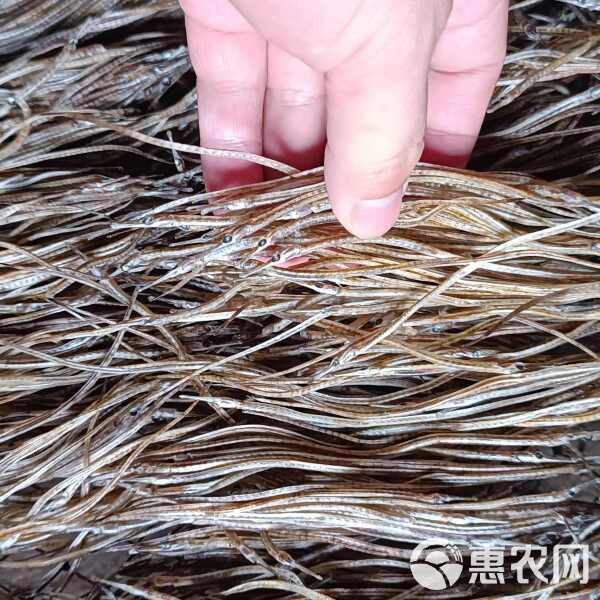 龍魚(yú)干的價(jià)格范圍是多少？