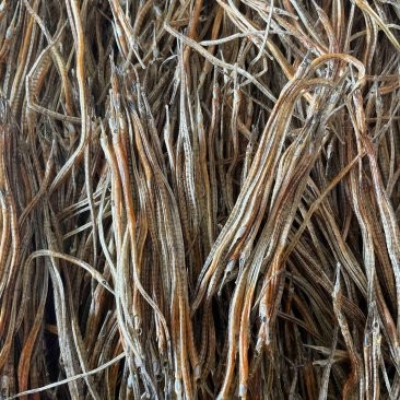 龍魚(yú)干的價(jià)格范圍是多少？