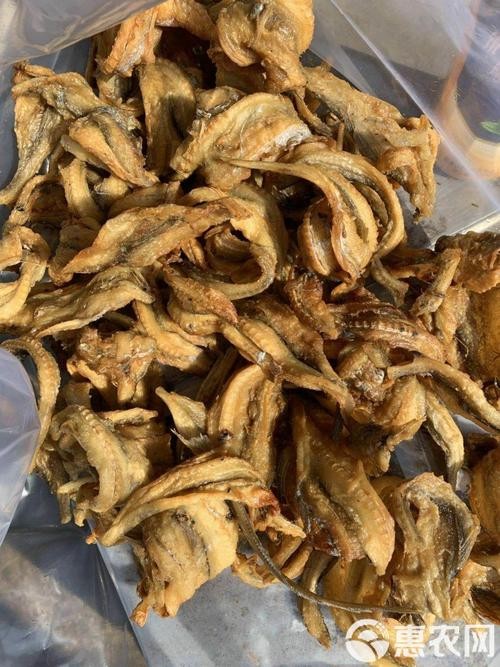 龍魚(yú)干的價(jià)格范圍是多少？