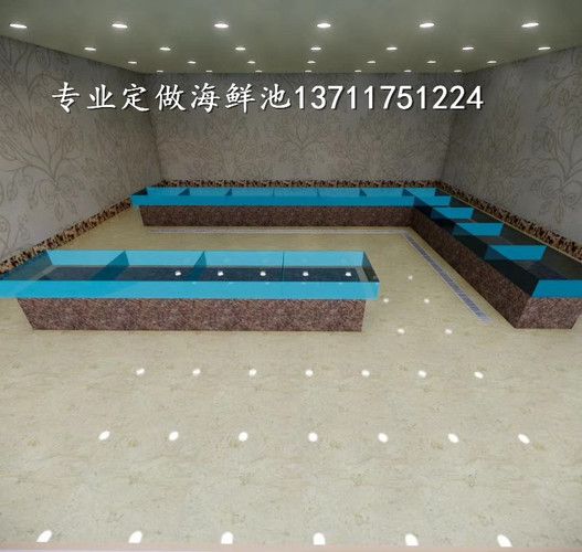 欖茵魚缸:欖茵魚缸市場銷量趨勢分析欖茵魚缸智能控制功能介紹 魚缸百科 第1張 欖茵魚缸:欖茵魚缸市場銷量趨勢分析欖茵魚缸智能控制功能介紹 欖茵魚缸:欖茵魚缸市場銷量趨勢分析欖茵魚缸智能控制功能介紹 魚缸百科 第1張